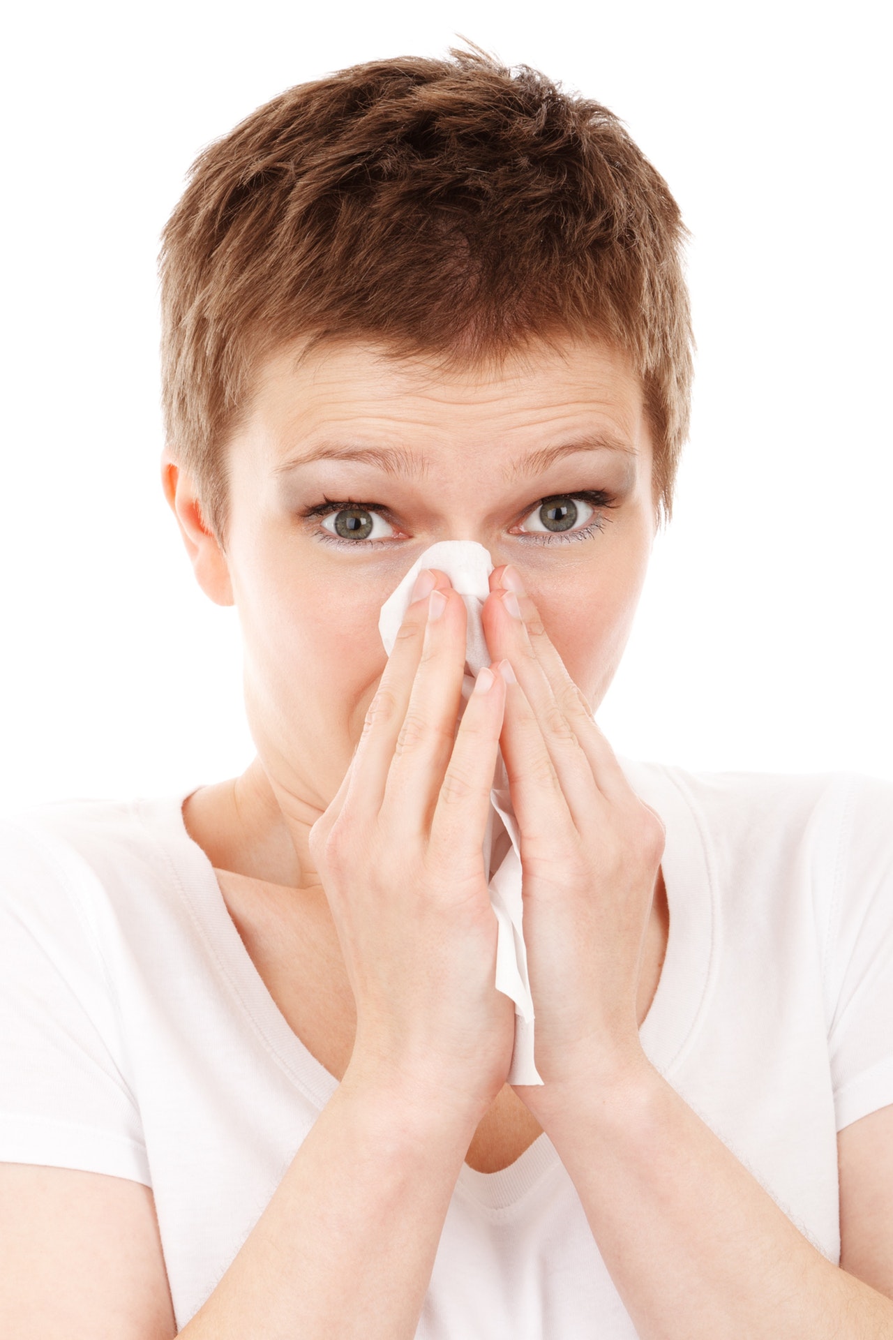 allergy cold disease flu