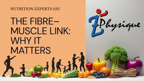 The Fibre–Muscle Link Why It Matters
